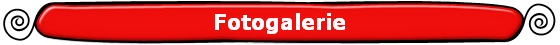 Fotogalerie